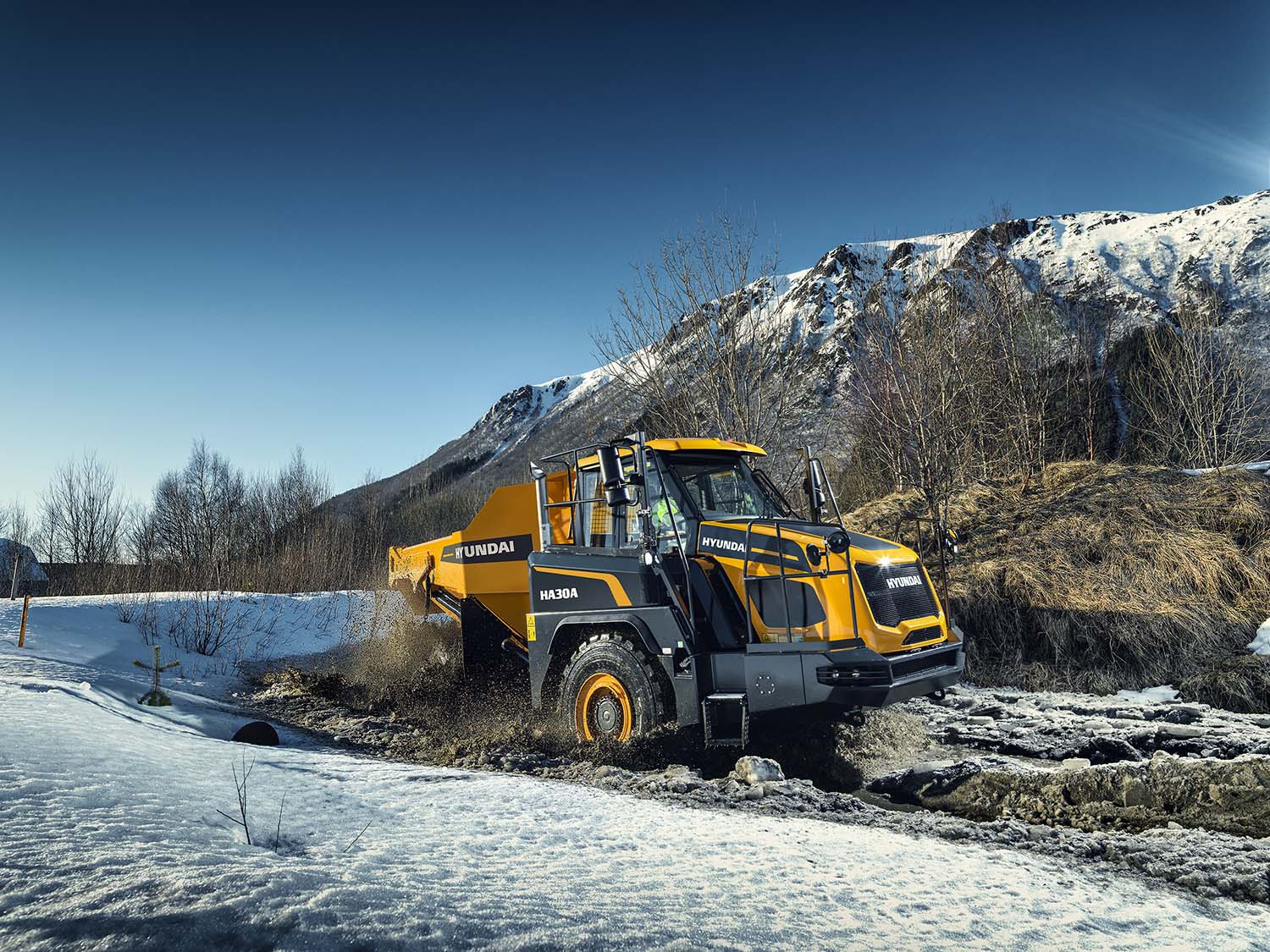 Telehandler Gallery 4